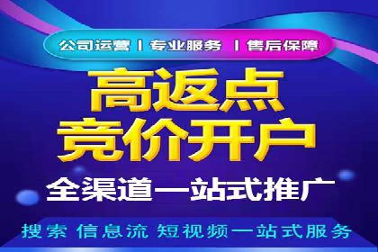 百度优化推广案例：关键词优化与SEO策略