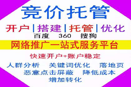成功运用SEM服务实现品牌推广的案例分析